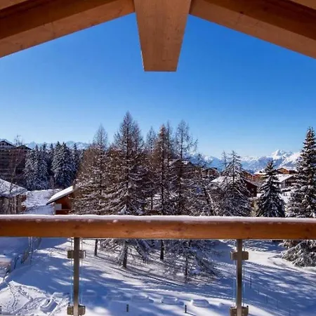 8br Amazing Chalet In The Lovely Crans-montana *
